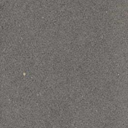 pietra medicea