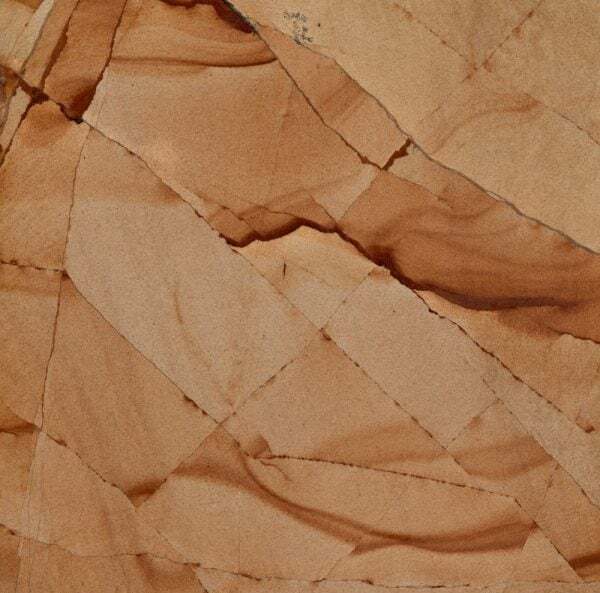 teak wood sample