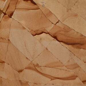 teak wood sample