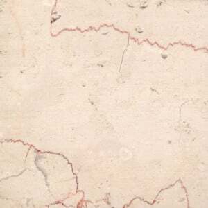 trani fiorito sample