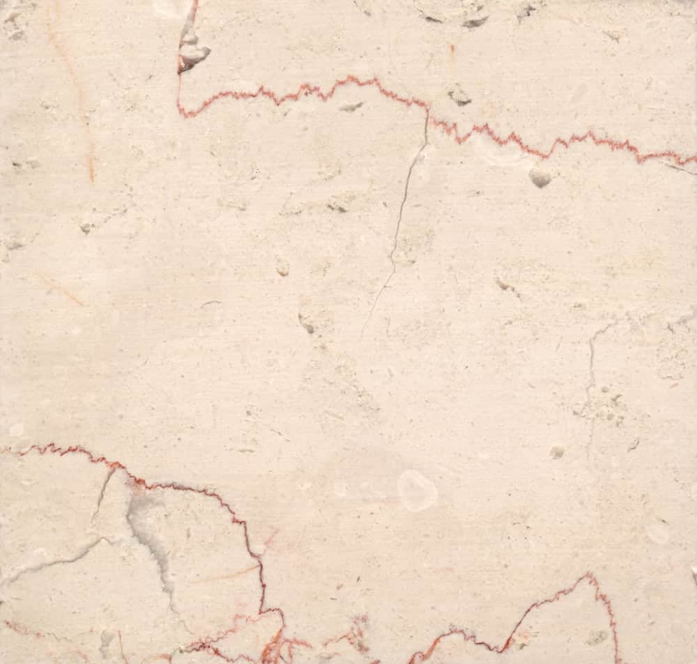 trani fiorito sample