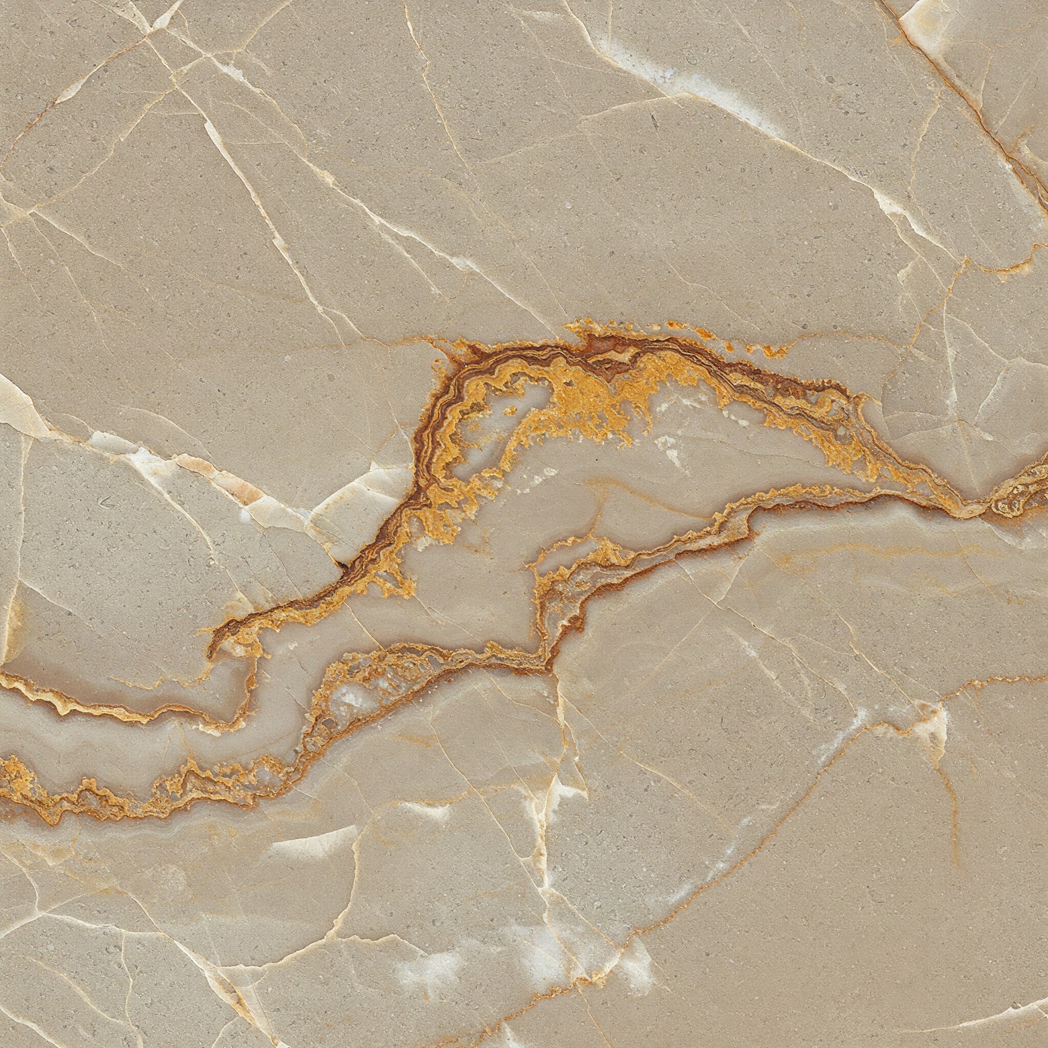 A close-up view of a unique marble slab with intricate golden and beige veining, showcasing natural patterns and organic textures.