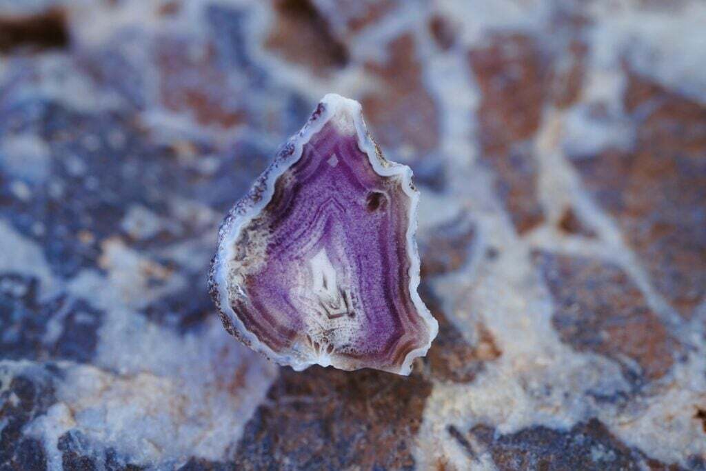 5 Stunning Ways Designers Use Calacatta Viola Marble 1