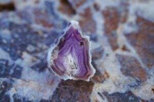 5 Stunning Ways Designers Use Calacatta Viola Marble 1