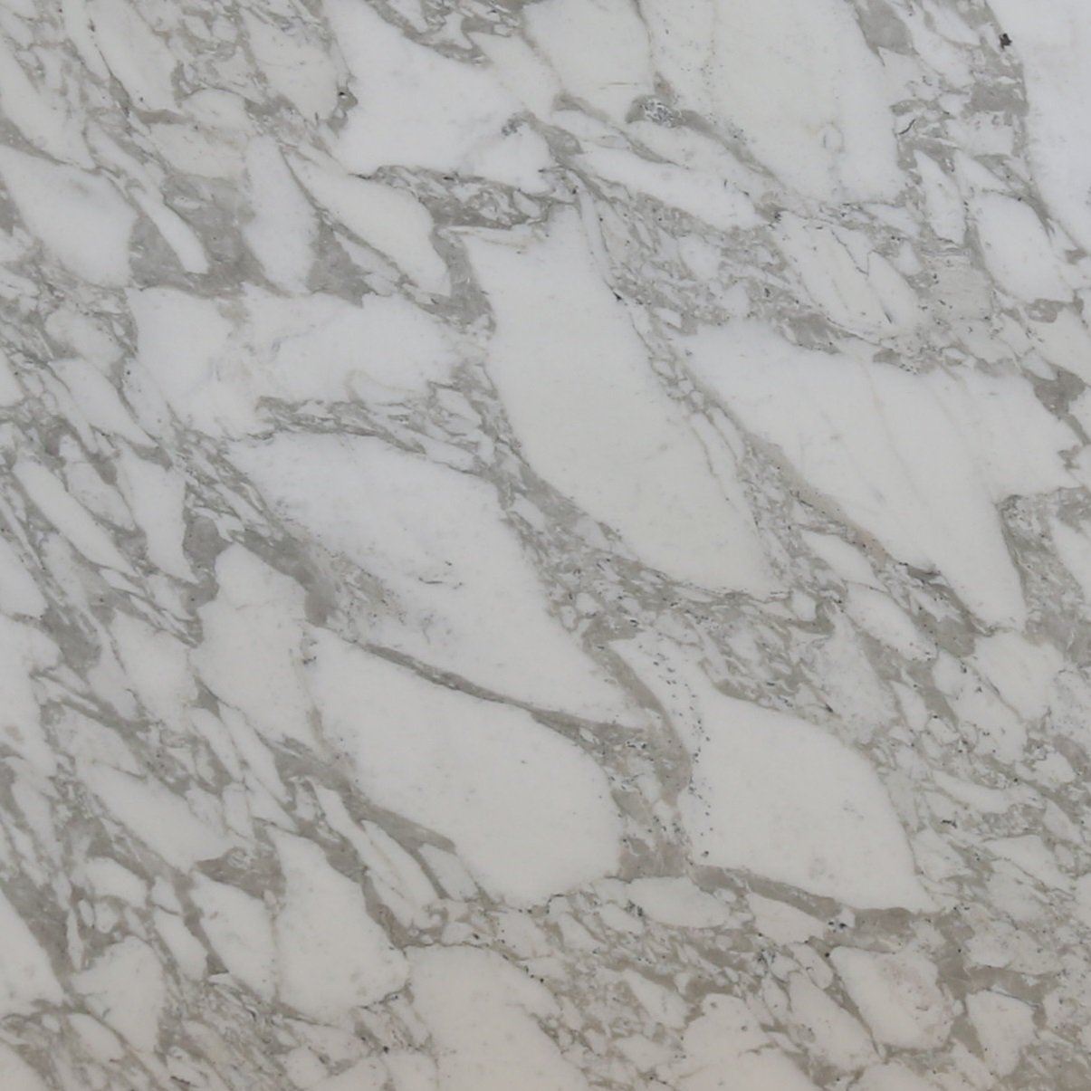 Calacatta Vagli Sample