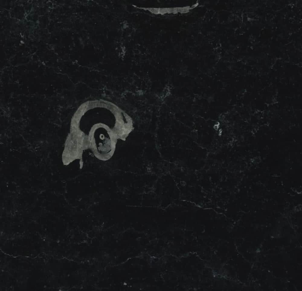 ebony black sample