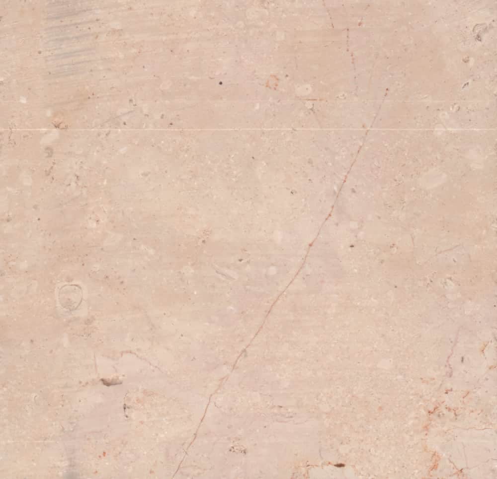 minerva sample