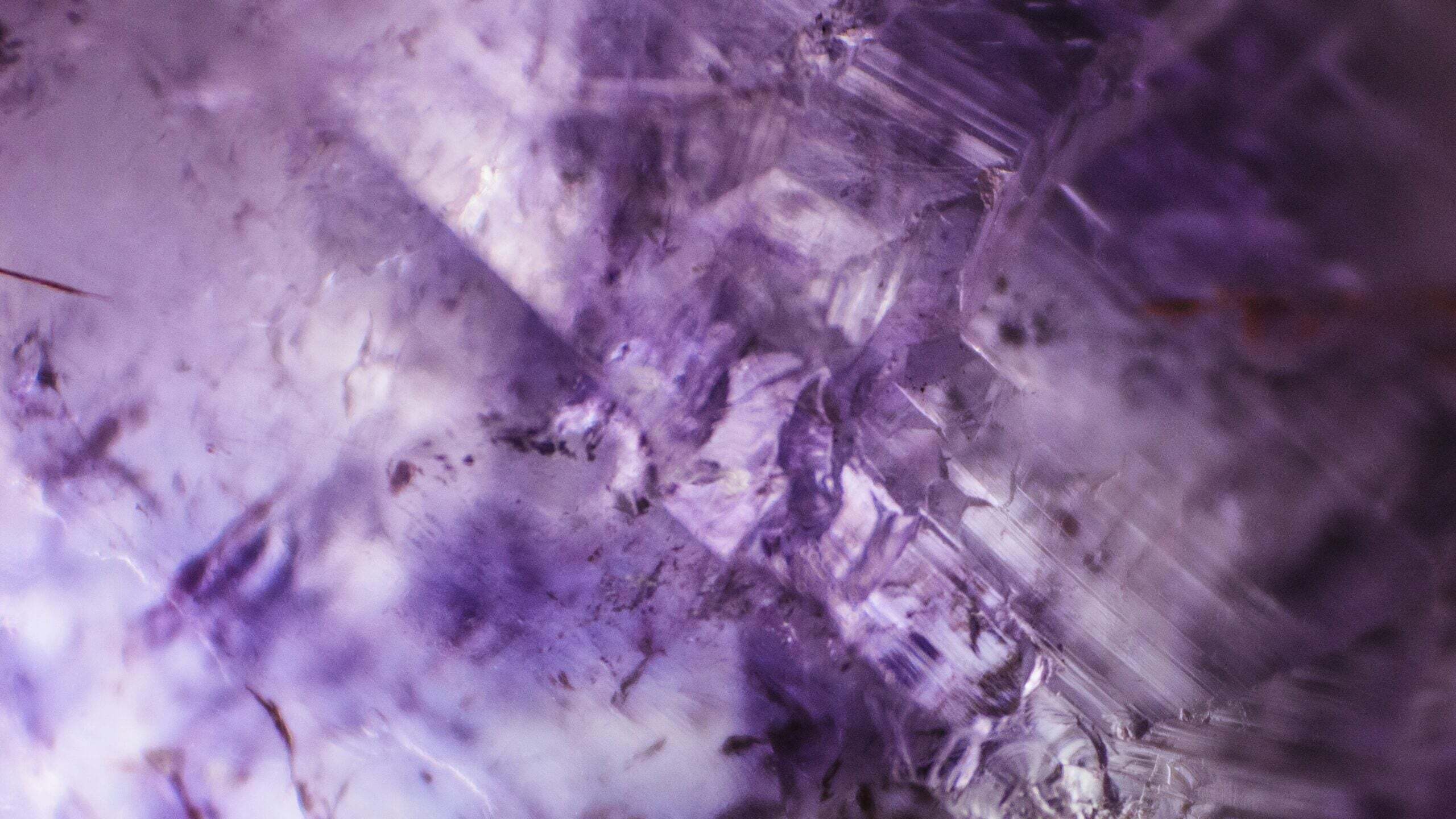 Calacatta Viola Marble vs. Porcelain: A Head-to-Head Comparison