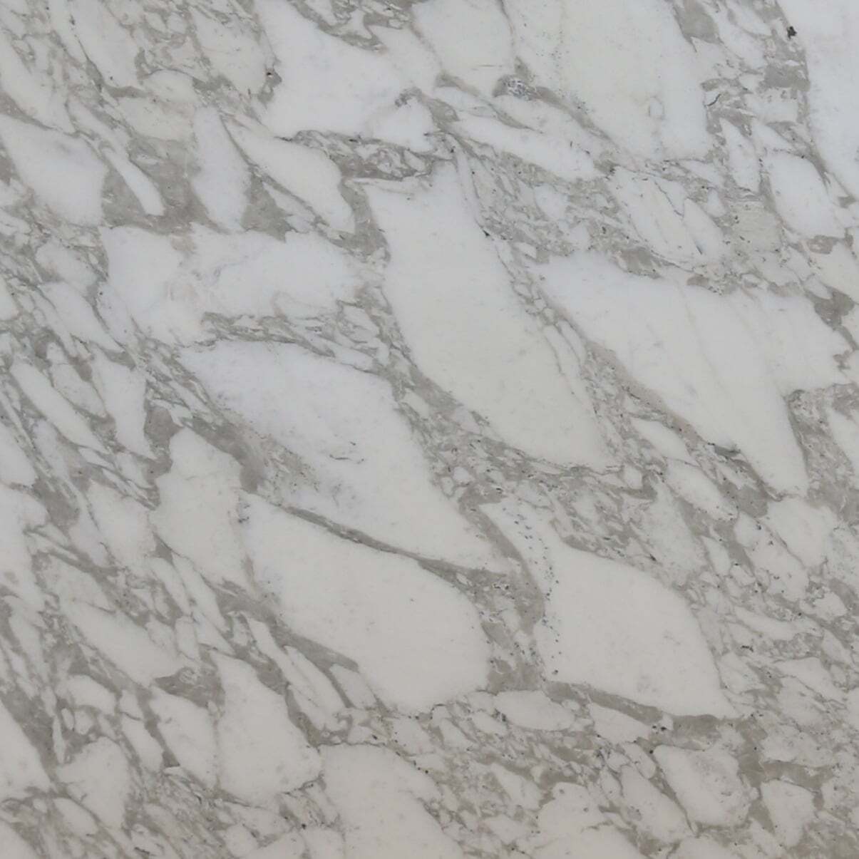 Calacatta Vagli Sample
